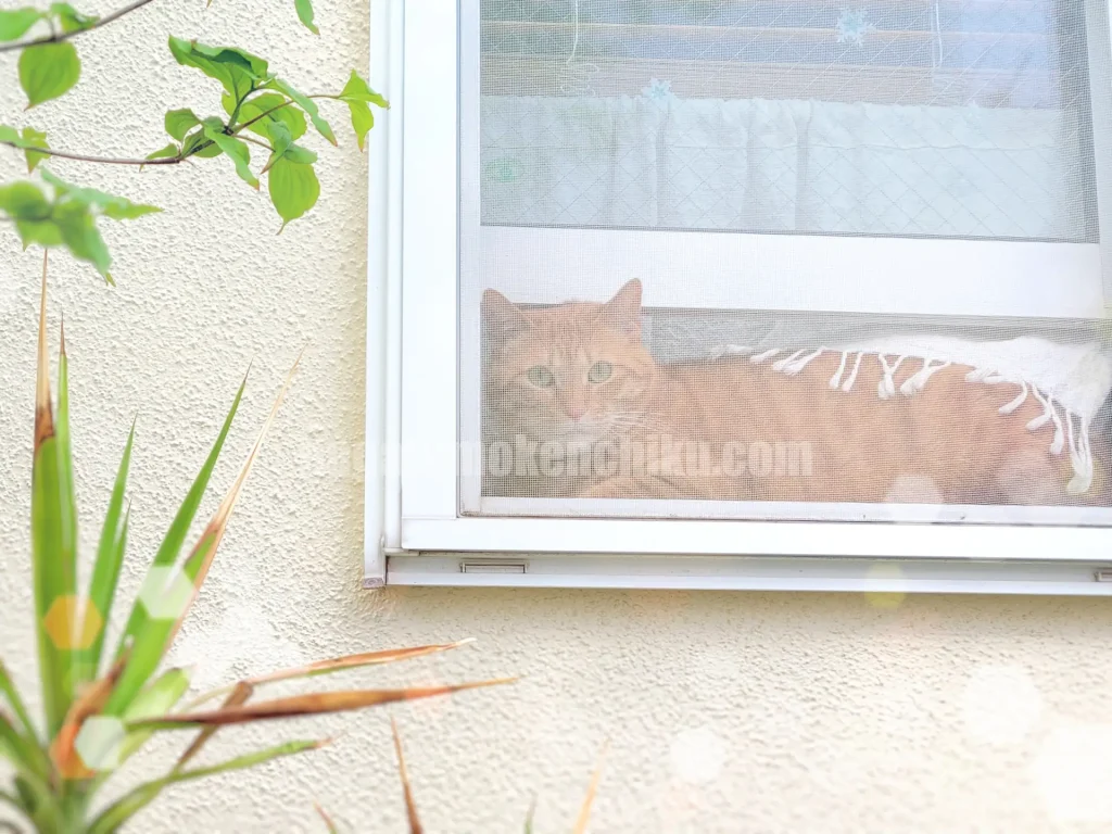 外壁を大事にして長く安心して住める状態を保ちましょう